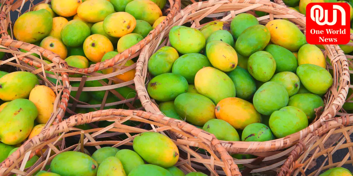 Beneficiaries of mango