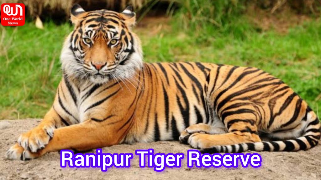 Ranipur Tiger Reserve: টাইগার সাফারি করতে চান? পর্যটকদের নতুন আকর্ষণ ...