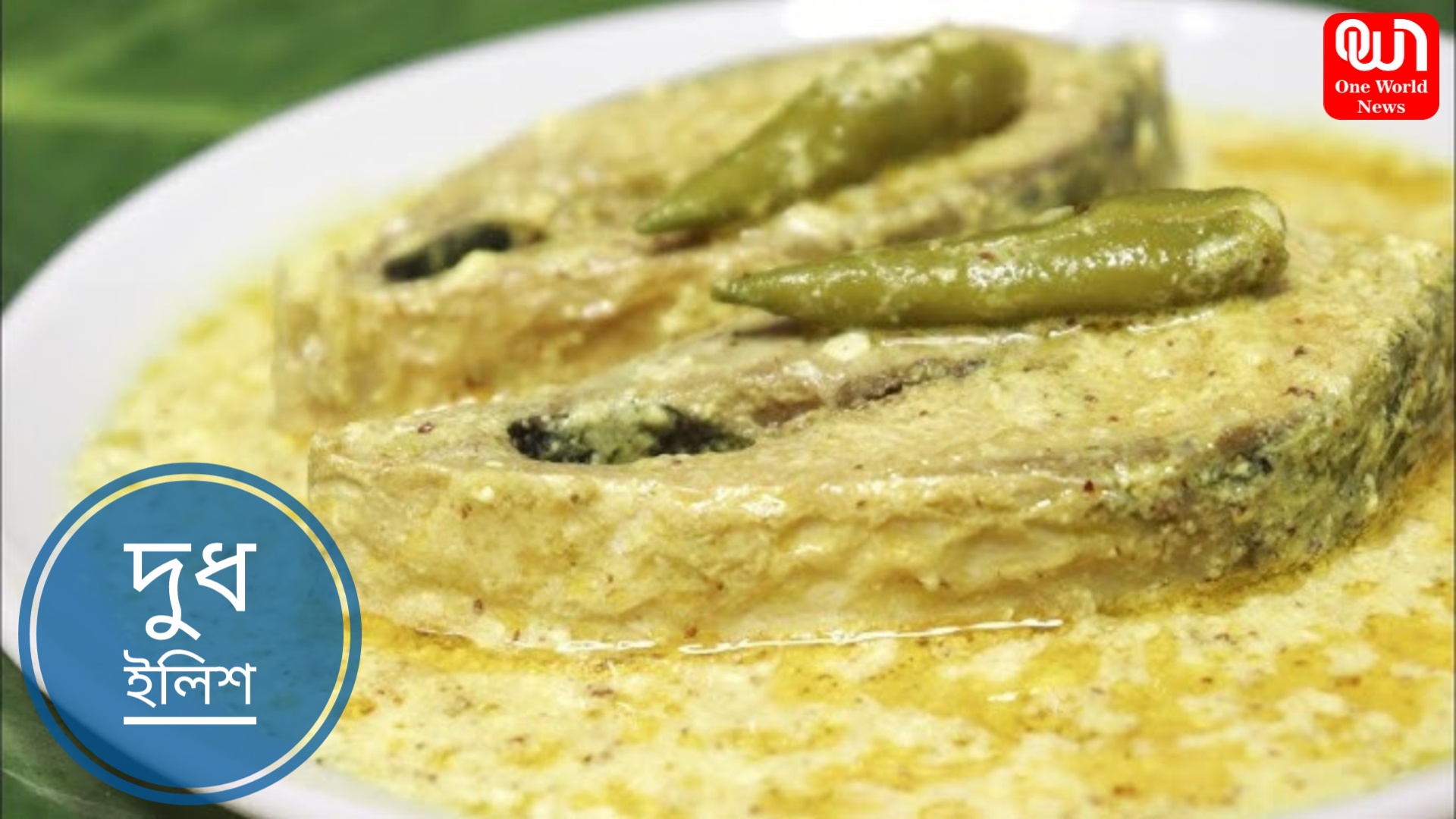 Hilsa Fish Recipe