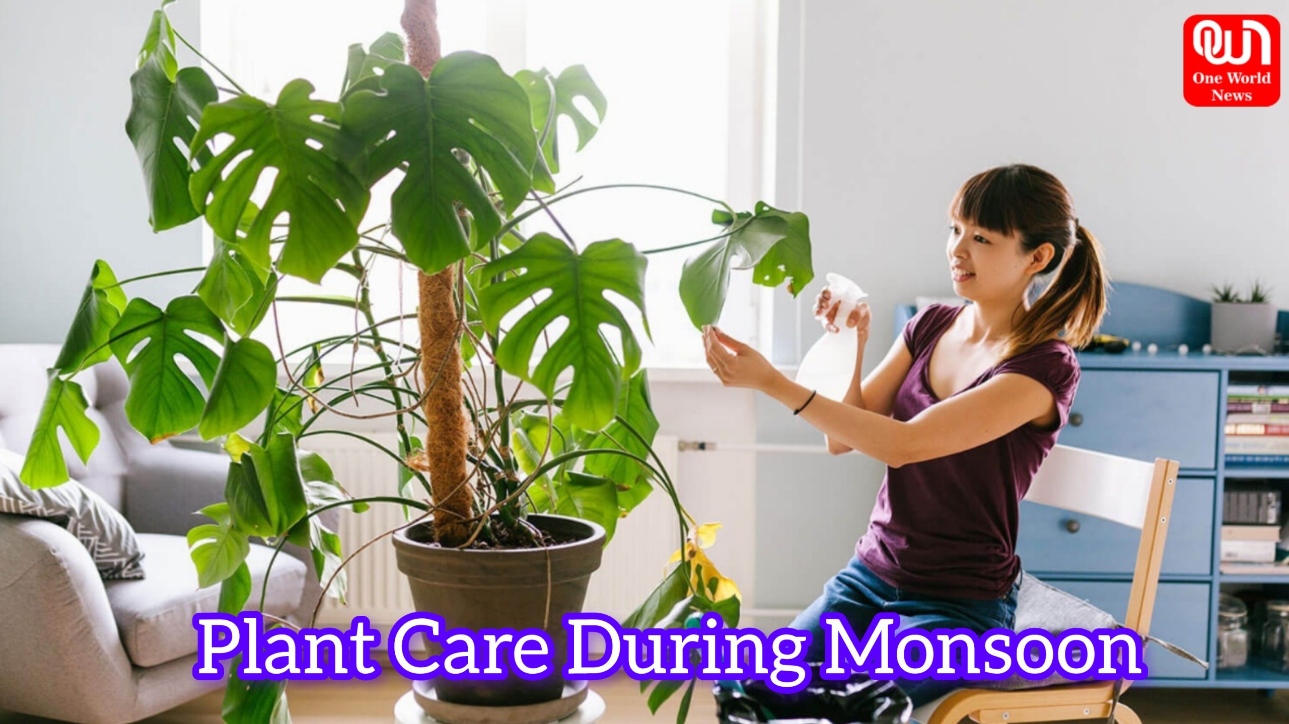 Plant Care During Monsoon