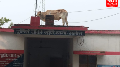 Rae Bareli Viral News