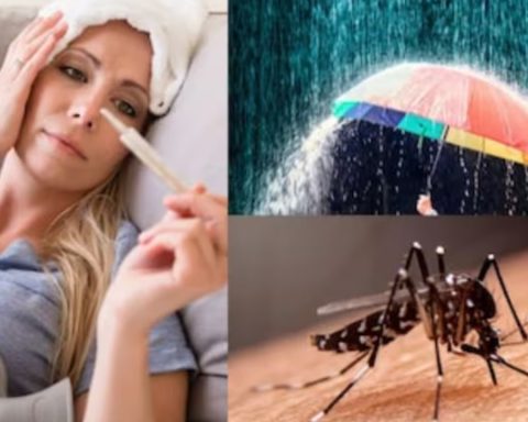Diseases In Rainy Season