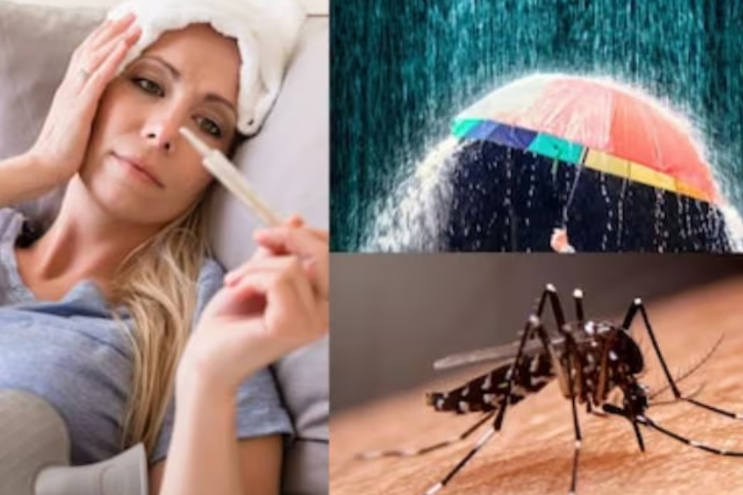 Diseases In Rainy Season