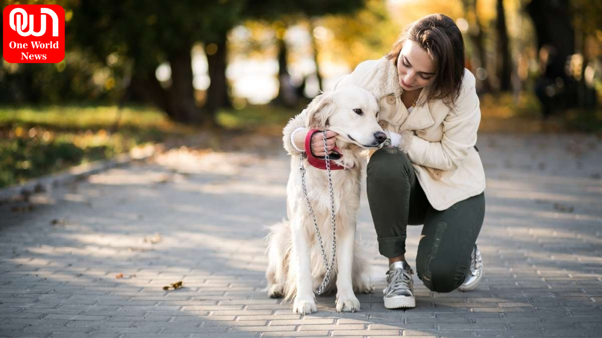 Smell Of Stress From Humans Could Affect Dogs Emotions