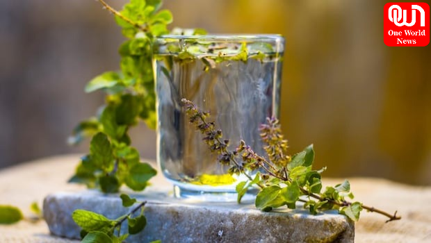 Tulsi For Monsoon Immunity