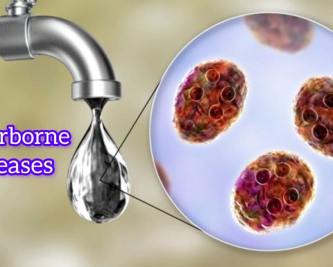 Waterborne Diseases
