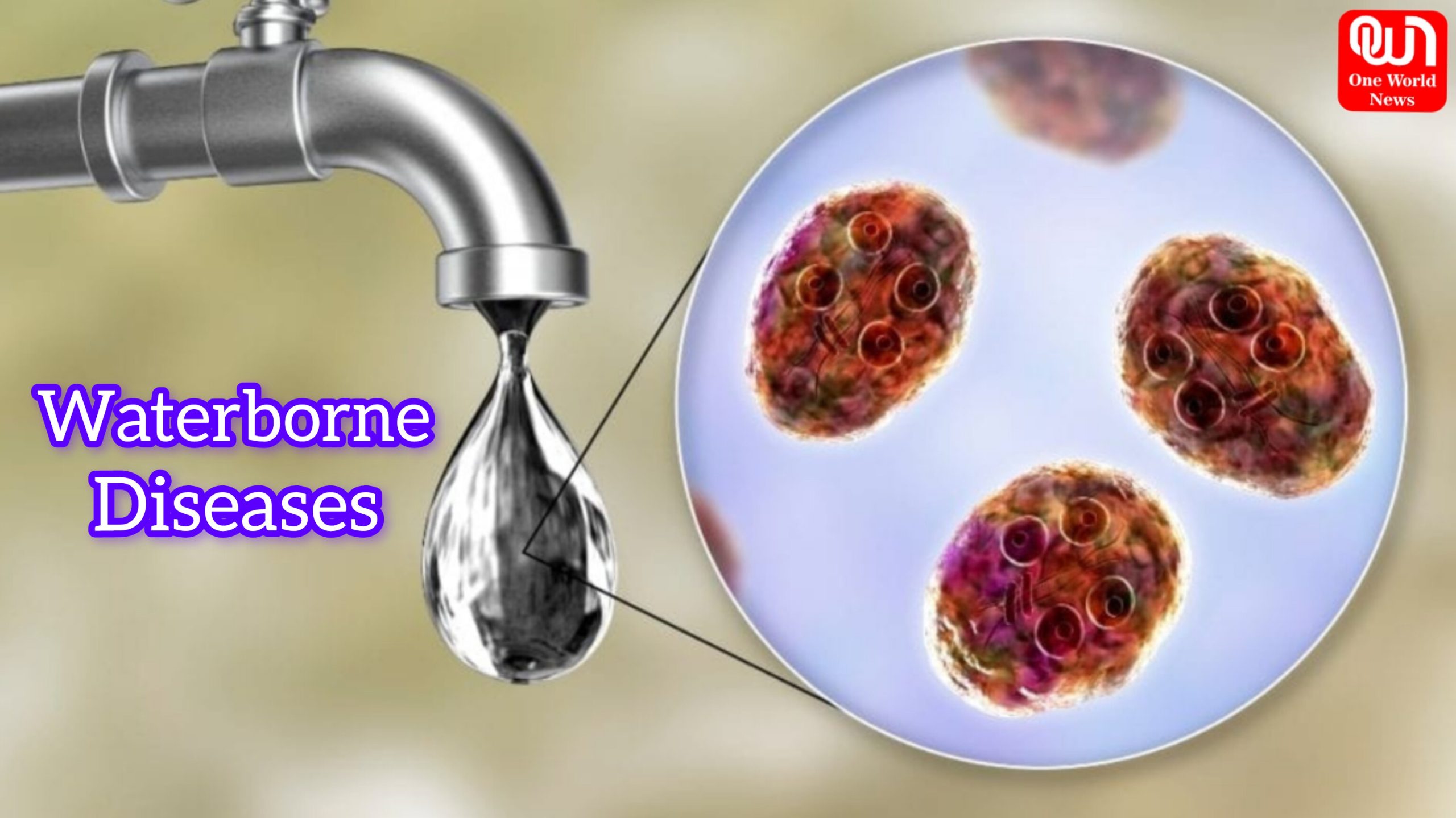 Waterborne Diseases