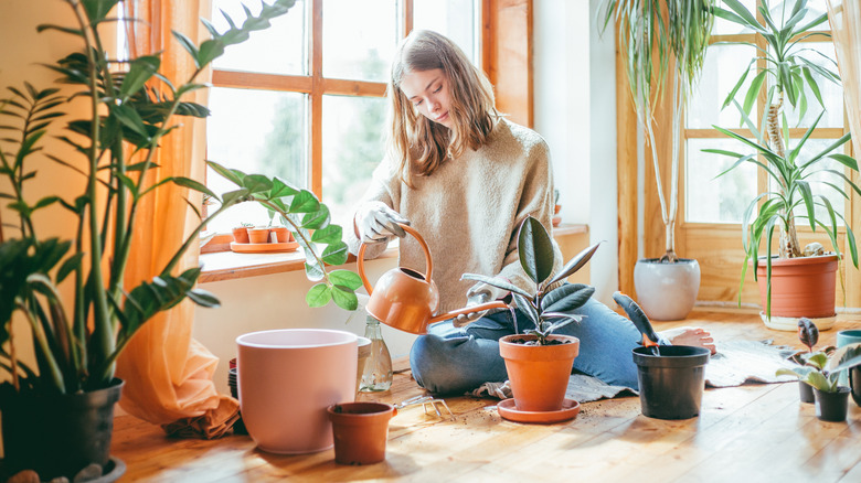 Plant Care During Monsoon