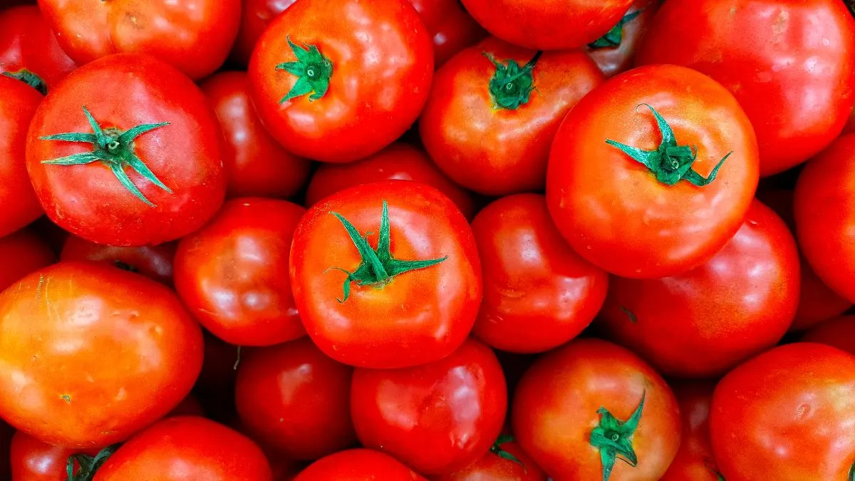 Tomato Prices