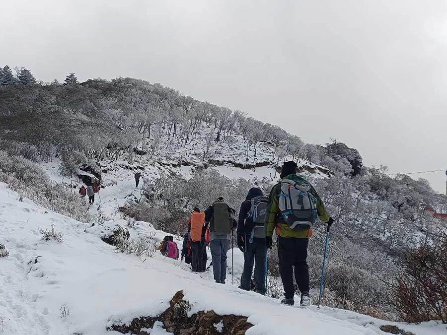 Sandakphu Trek