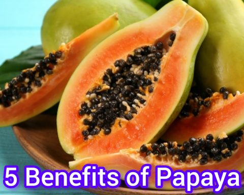 5 Benefits of Papaya