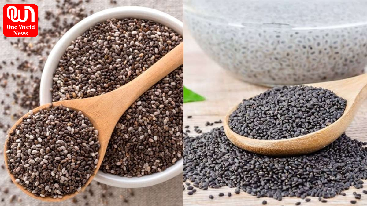 Chia Seeds vs Basil Seeds