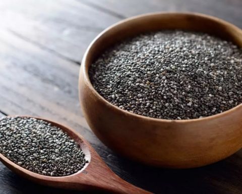 Chia seed