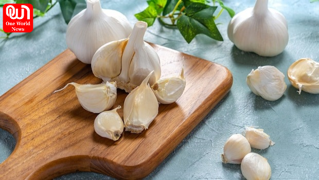 Find Real Garlic