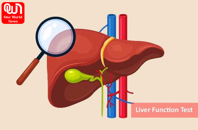 Liver Panel Tests