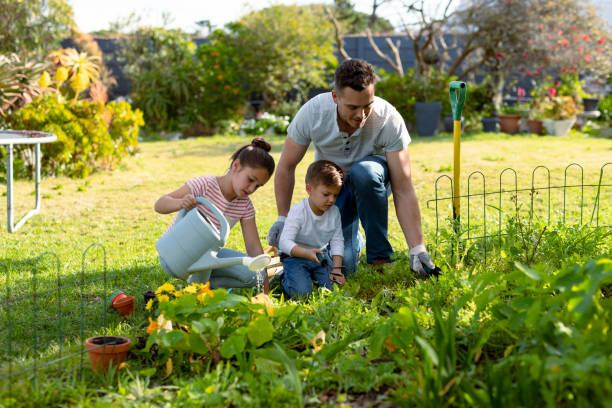 Plant Care