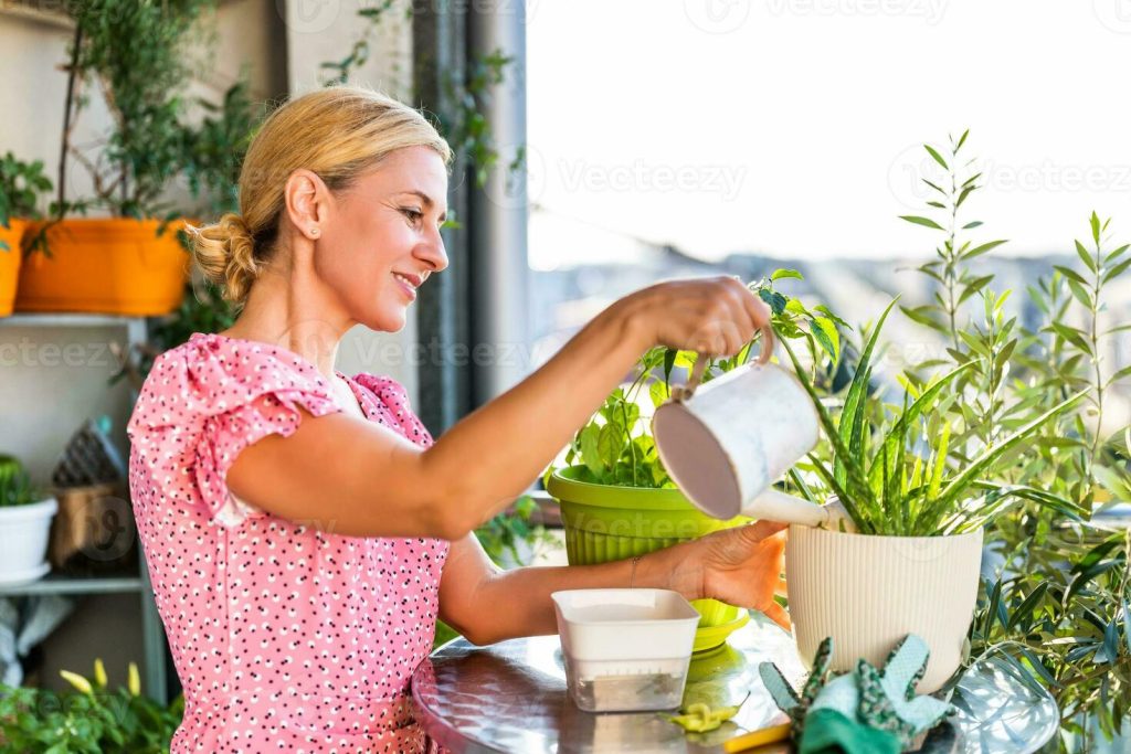 Aloe Vera Tree