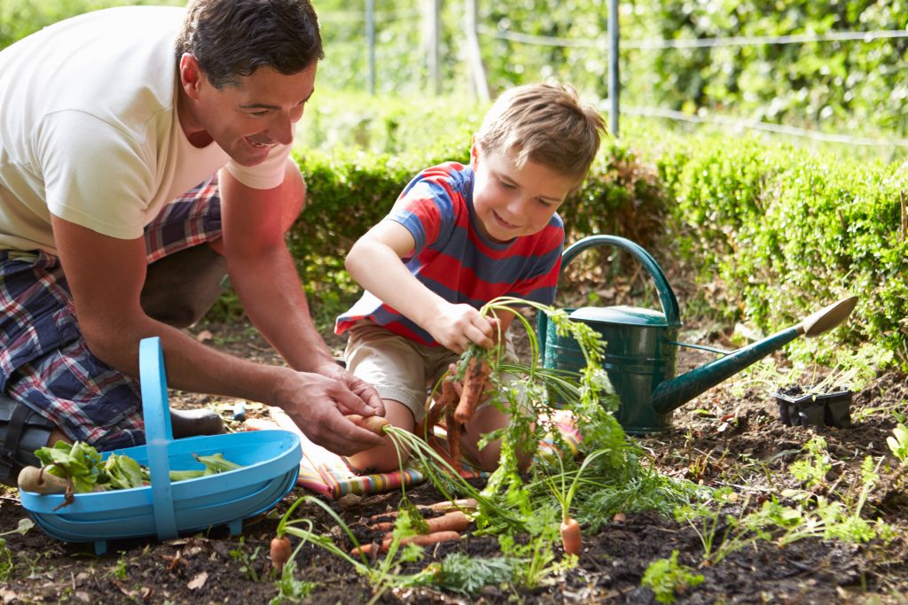 Plant Care