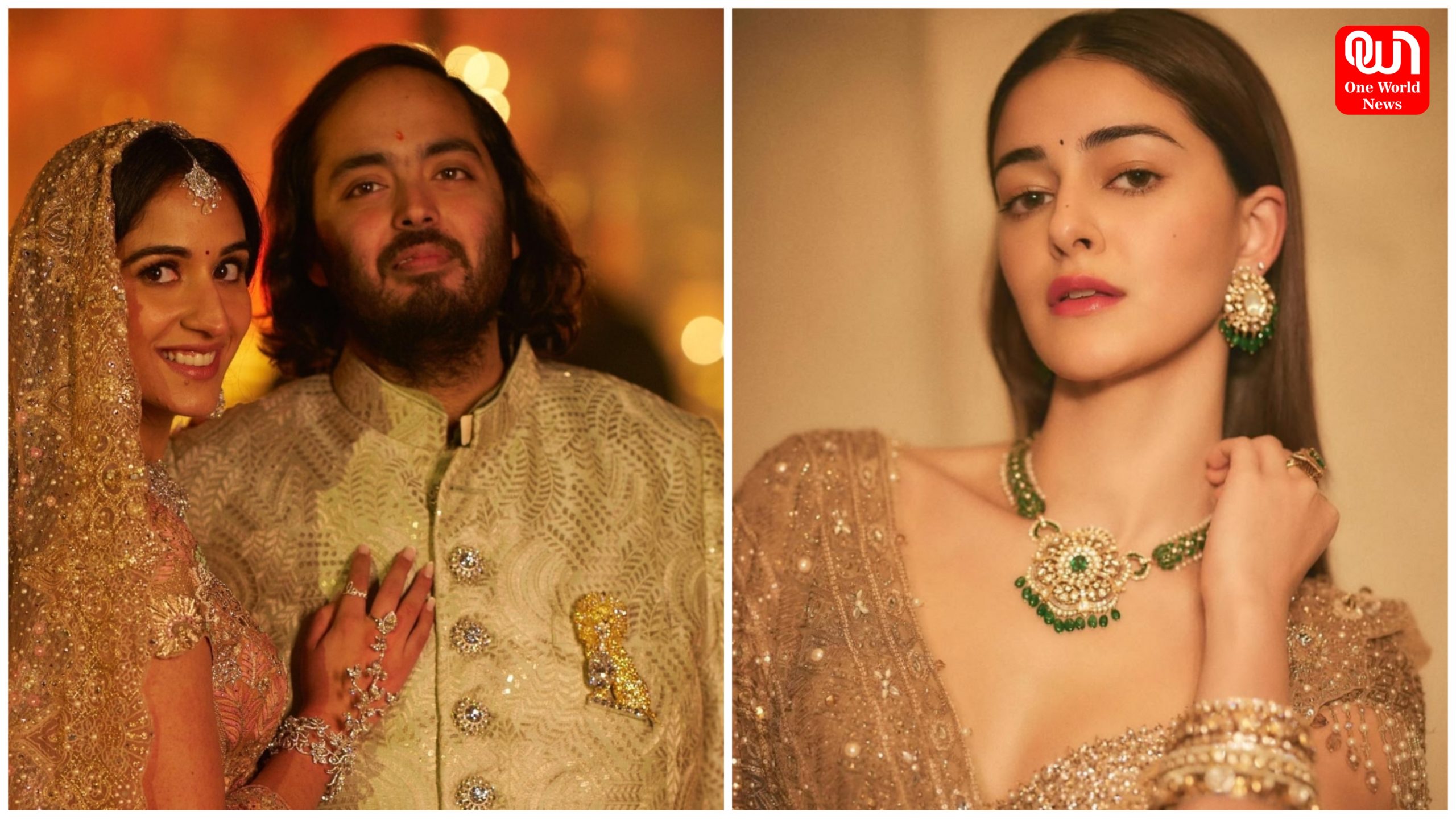 Ananya Panday on Ambani Wedding