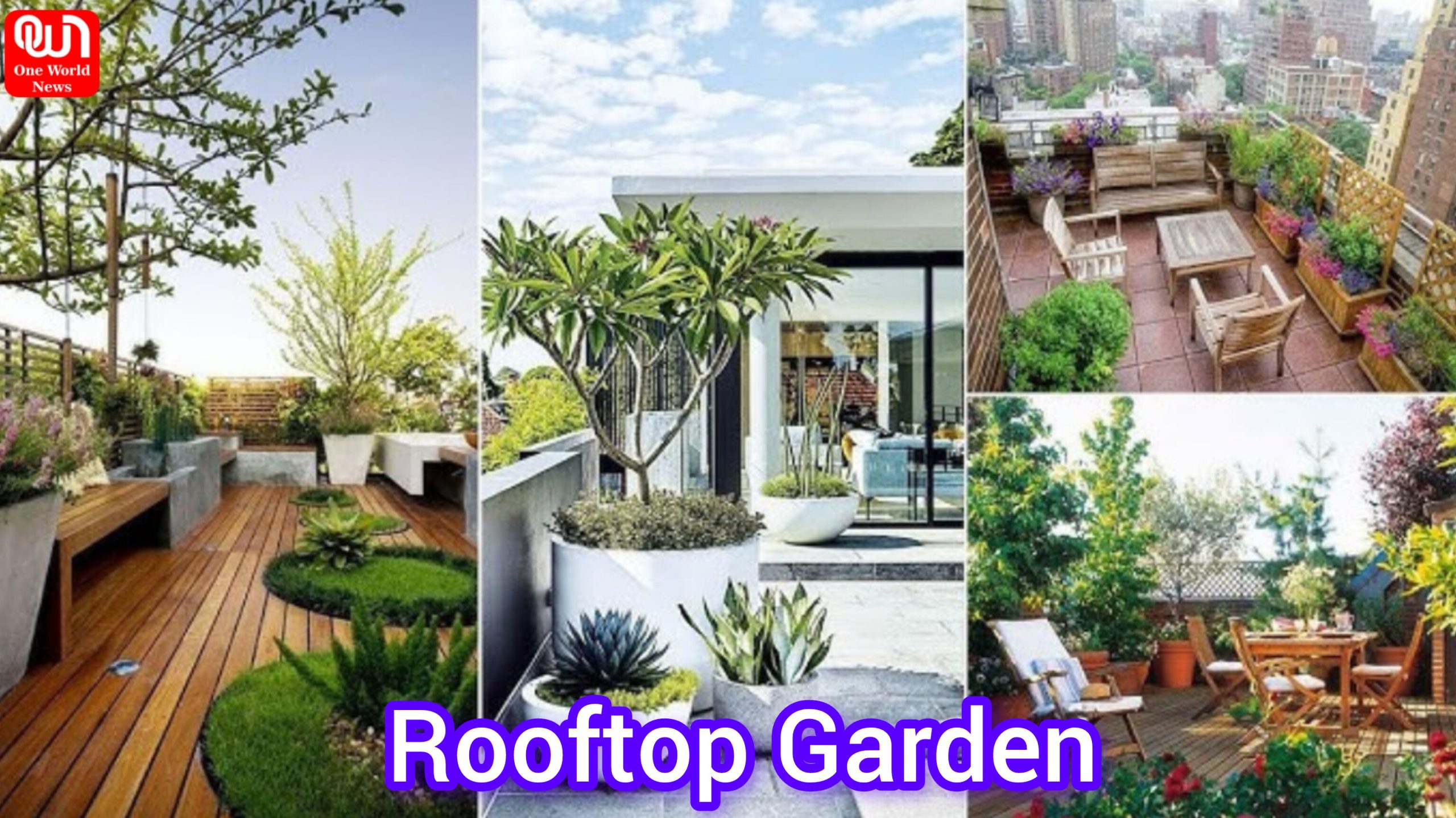 Rooftop Garden