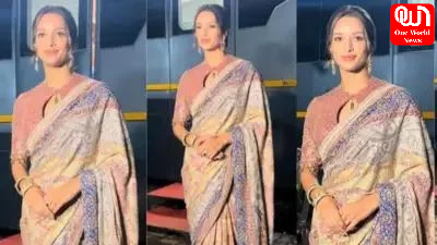 Tripti Dimri's Saree Look