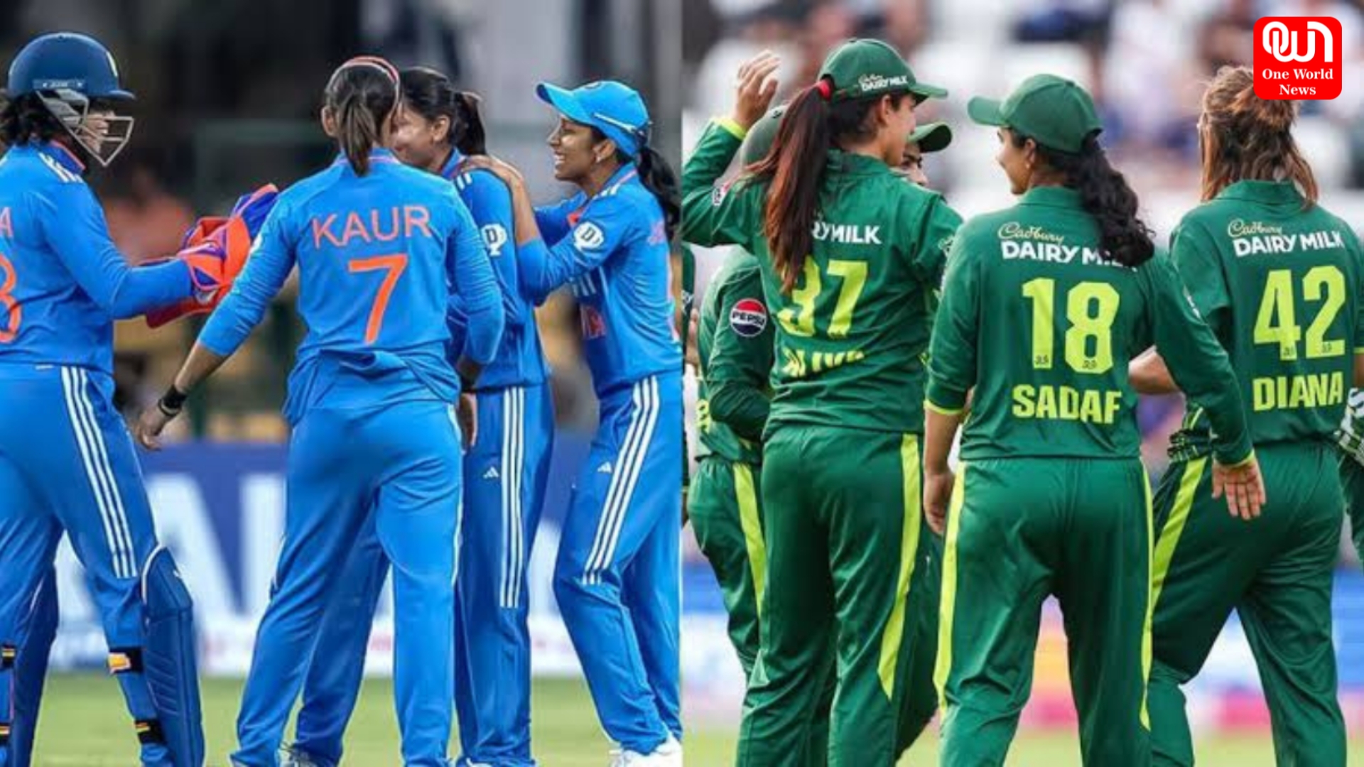 Women's T20 World Cup 2024