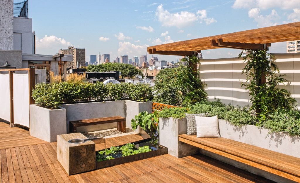 Rooftop Garden