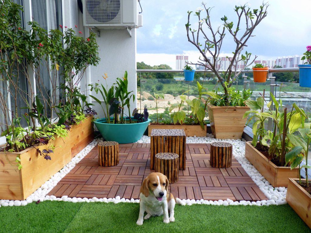 Rooftop Garden