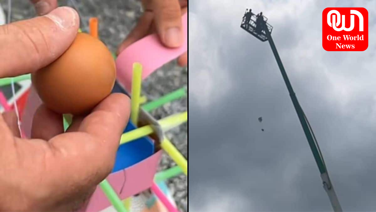 Egg Drop Without Breaking It