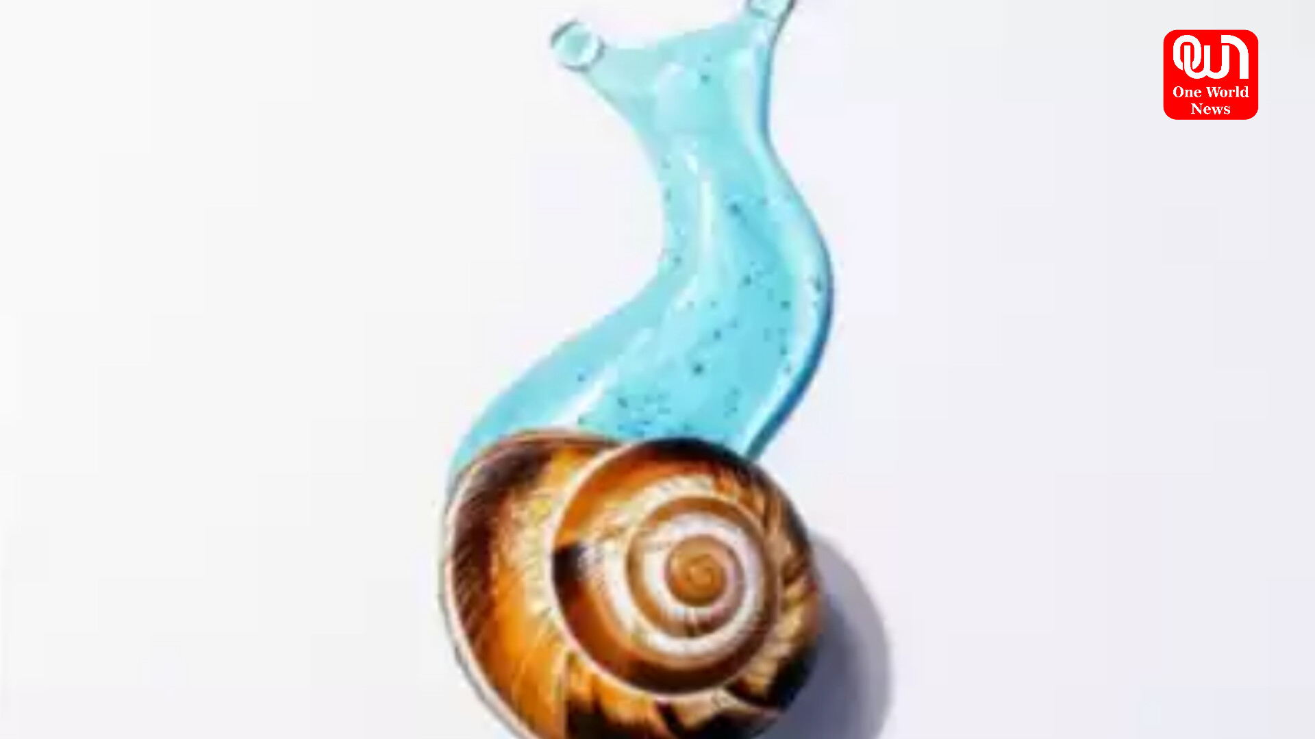 Snail Mucin For Skin