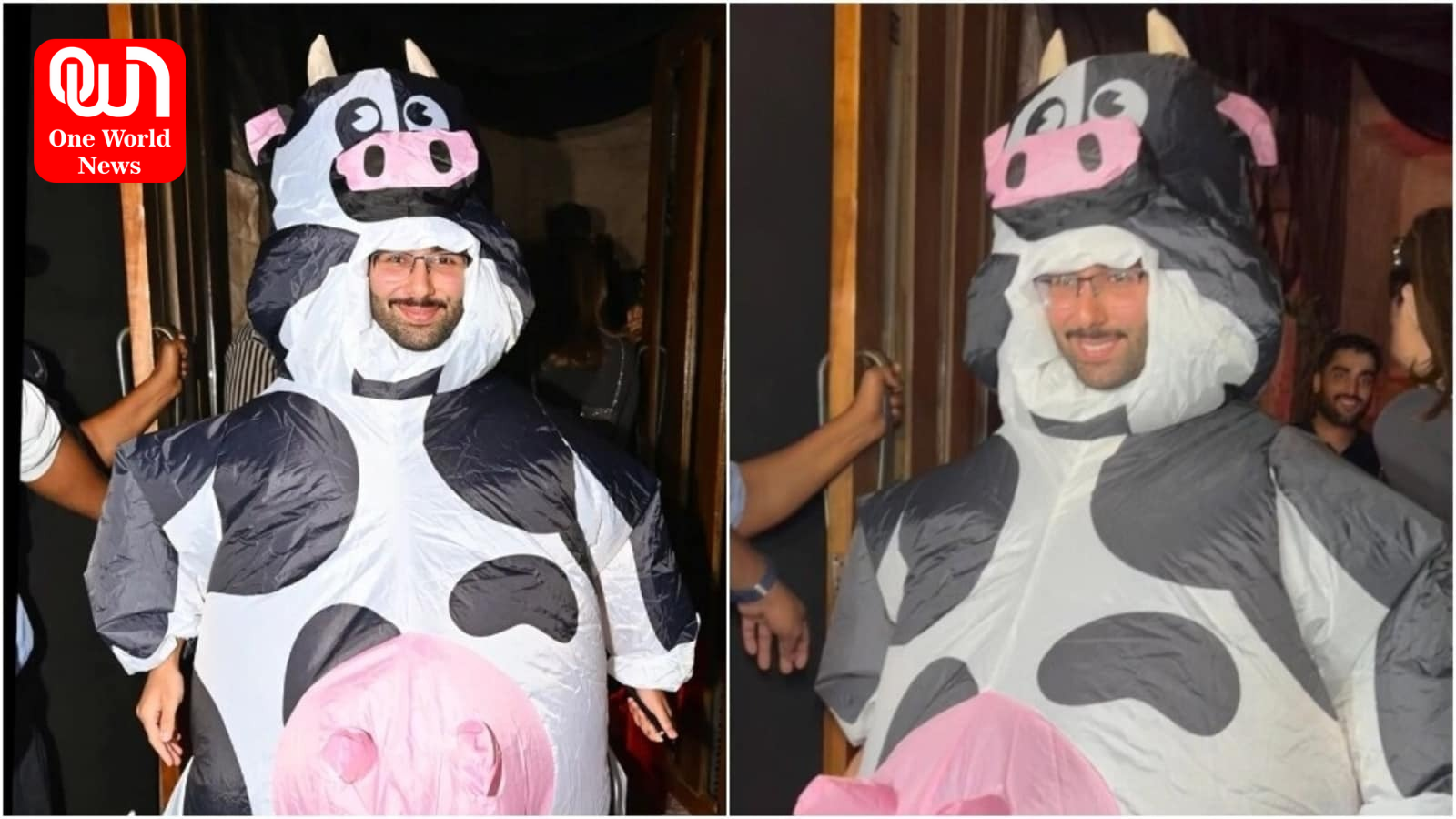 Orry Wears A Blow-Up Cow Costume