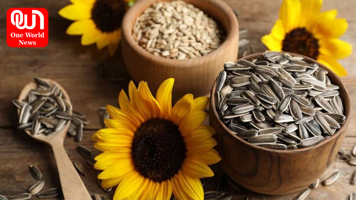 Sunflower Seeds Can Bring Life To Dry Lifeless Hair