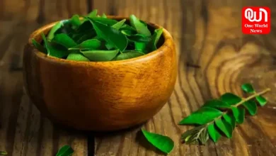 Benefits Of Curry Leaves