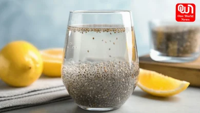 Chia Seeds Soaking Time