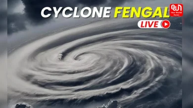 Cyclone Alert