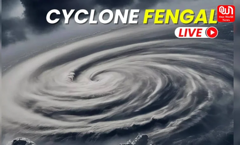 Cyclone Alert