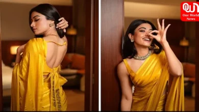 Rashmika Mandanna Saree Look