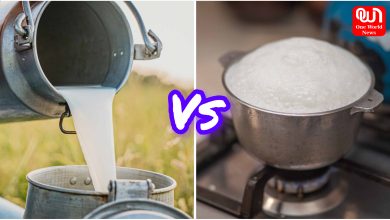 Raw Milk Vs Boiled Milk