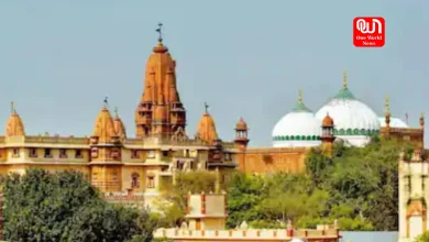 Babri Masjid Demolition Day