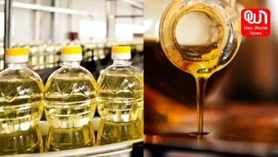 Cooking Oil And Cancer