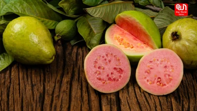 Guava in winter