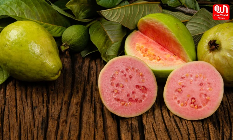 Guava in winter