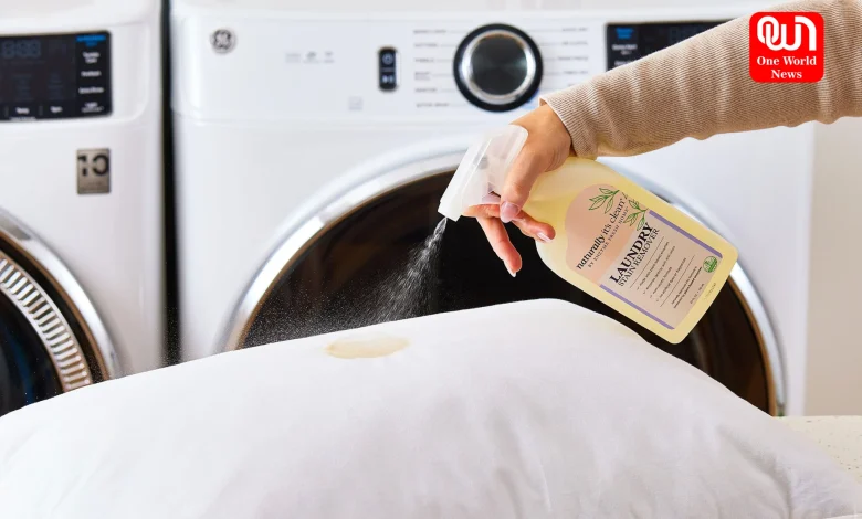 Mattresses And Pillows Should Be Cleaned Regularly