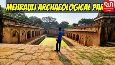 Mehrauli Archaeological Park