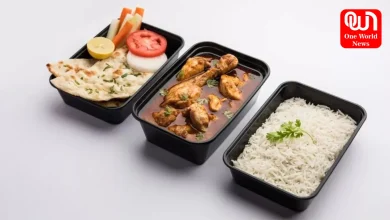 Non Veg Lunch Box Ideas