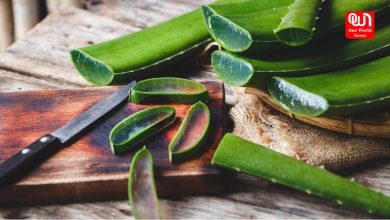 Aloe Vera Gel In Winter