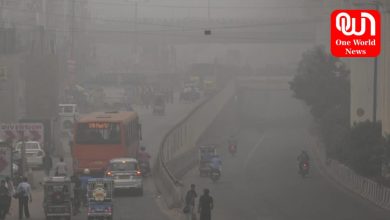 Delhi Amid Fog