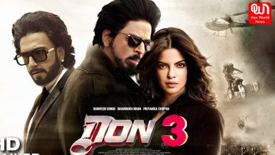 Don 3 Villain