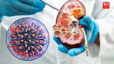 HMPV and Kidney