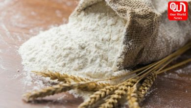 Harmful properties of flour